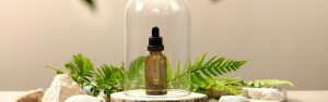 I migliori prodotti cosmetici biologici bellezza sostenibile
